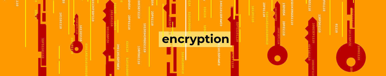 global encryption