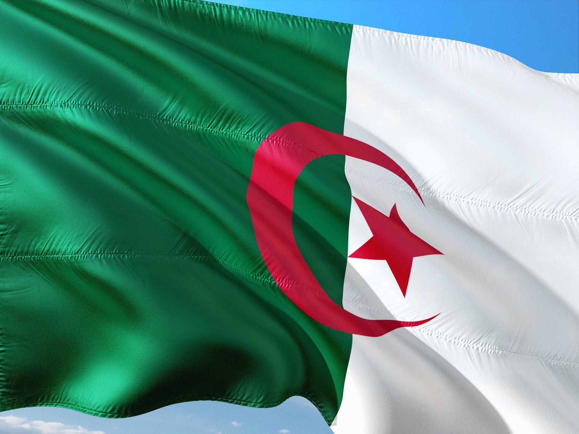 |Algerian tips for elections||
